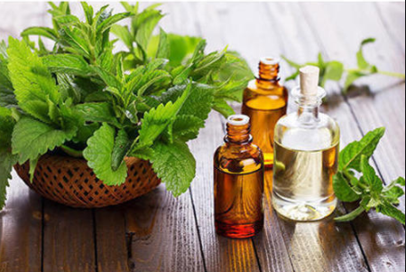 Pure Peppermint Menthol Crystals – Natural Cooling & Aromatherapy Use